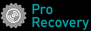 Pro Recovery
